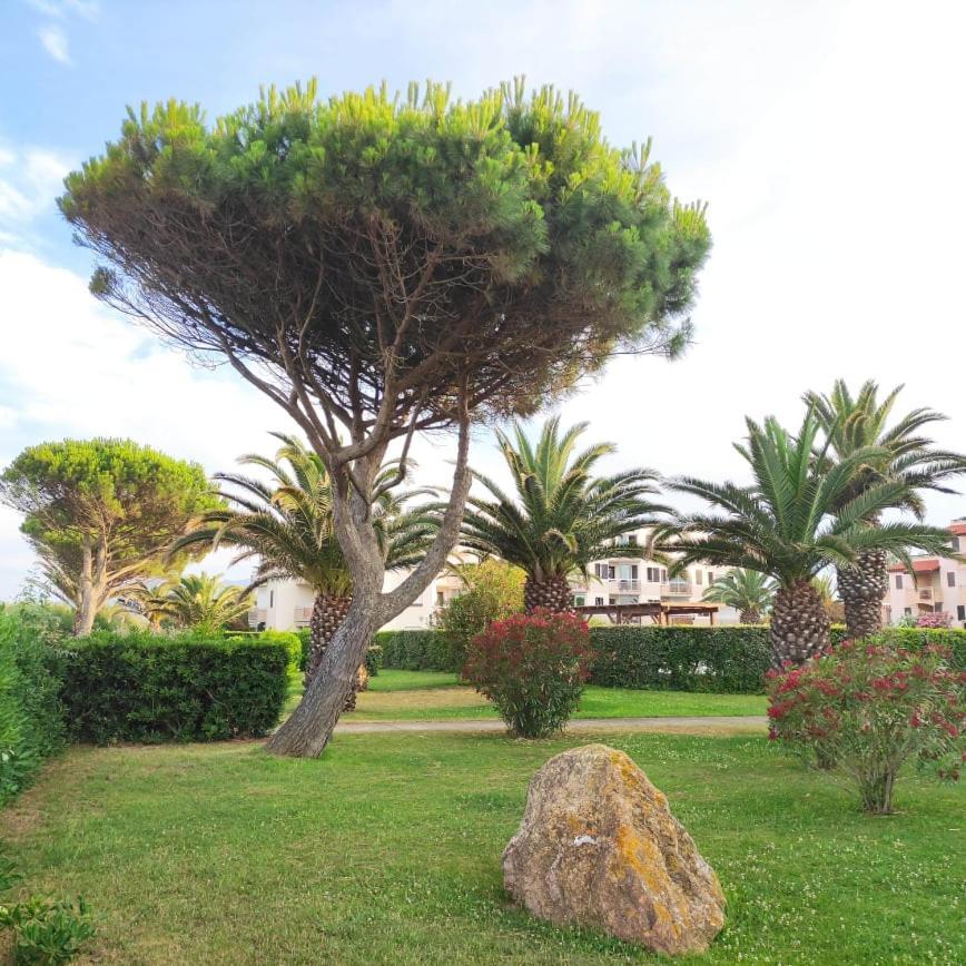 Les Capitelles 5 - Acces Direct A La Plage Depuis Le Jardin - T2 Avec Cabine - 6 Pers - Jardin - Piscine - Parking Saint-Cyprien  Εξωτερικό φωτογραφία