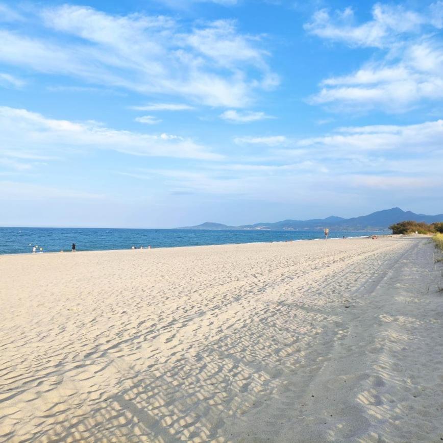 Les Capitelles 5 - Acces Direct A La Plage Depuis Le Jardin - T2 Avec Cabine - 6 Pers - Jardin - Piscine - Parking Saint-Cyprien  Εξωτερικό φωτογραφία