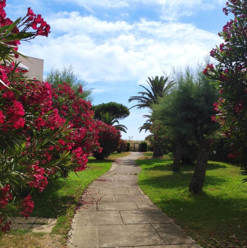 Les Capitelles 5 - Acces Direct A La Plage Depuis Le Jardin - T2 Avec Cabine - 6 Pers - Jardin - Piscine - Parking Saint-Cyprien  Εξωτερικό φωτογραφία